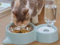 有治猫传腹的中药可以喂给猫吗?给猫吃中药用的薄荷会对猫有影响么?